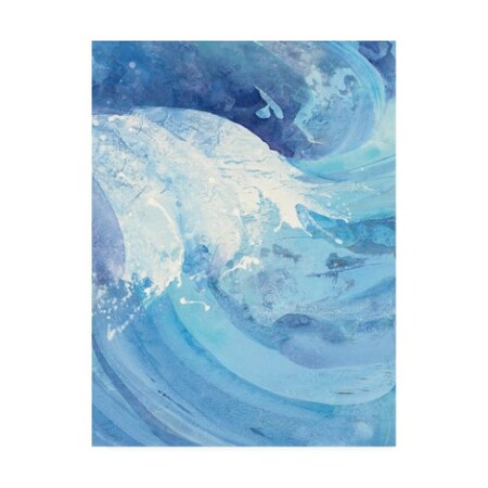 Albena Hristova 'The Big Wave Iii' Canvas Art,24x32
